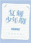 复刻少年txt